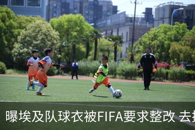 曝埃及队球衣被FIFA要求整改 去掉7颗星+号码改颜色