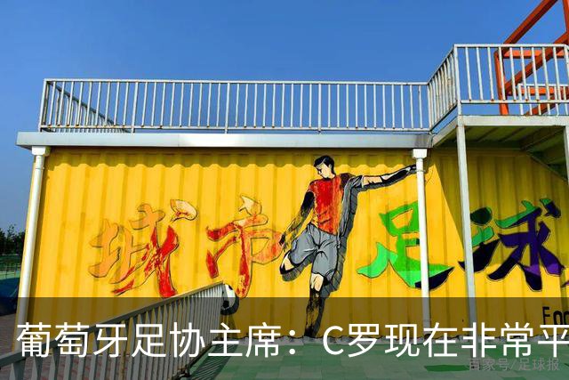 葡萄牙足协主席：C罗现在非常平静 在我们面临压力时这将非常重要